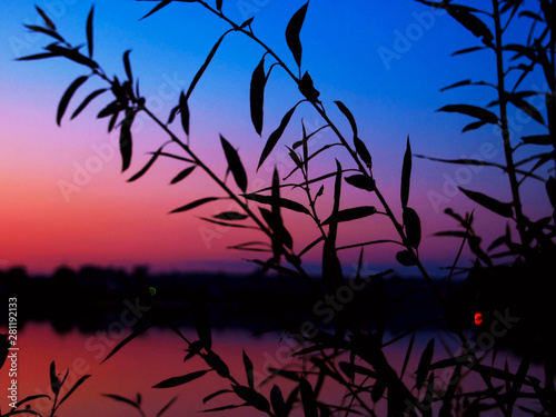 Summer landscape with the river on a sunset. - Image