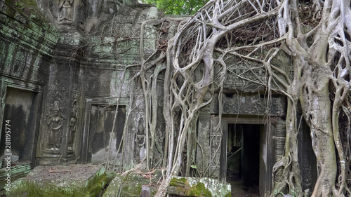 strangler fig roots at ta prohm temple in angkor
