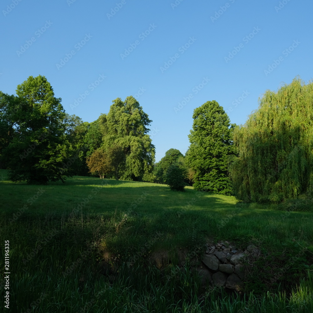 Naklejka premium Kittendorf Park Diverse