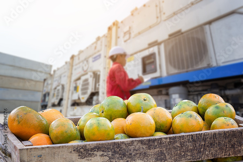 Orange Fruit and food distribution, tropical fruit of Thailand .Truck loaded with containers reefer control by ventilator mode to be shipped to the market.