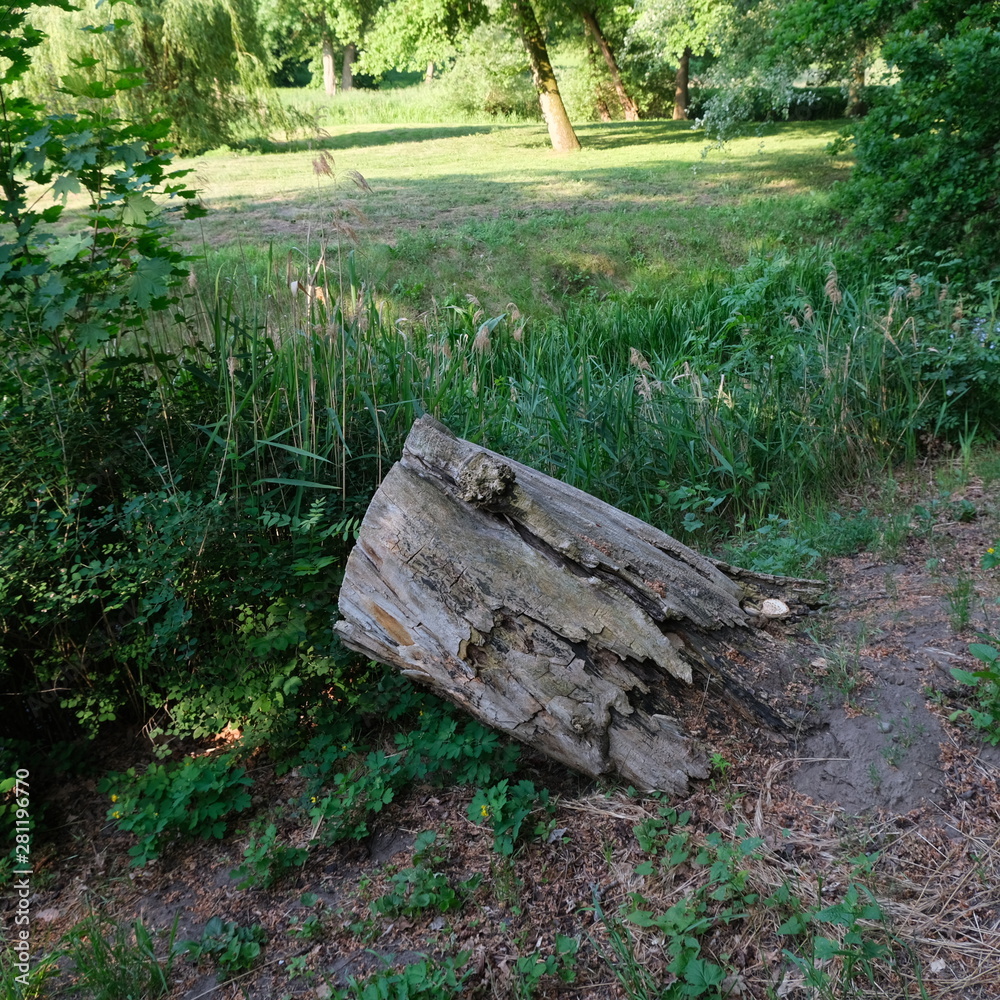 Obraz premium Kittendorf Park Diverse