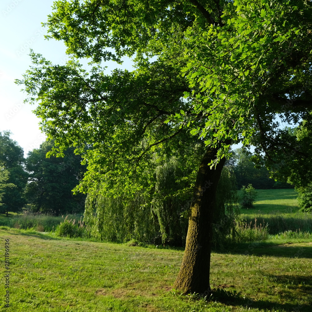 Obraz premium Kittendorf Park Diverse