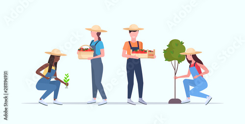 set mix race gardeners working in garden or greenhouse county men women agricultural workers harvesting gardening eco farming concept flat full length horizontal