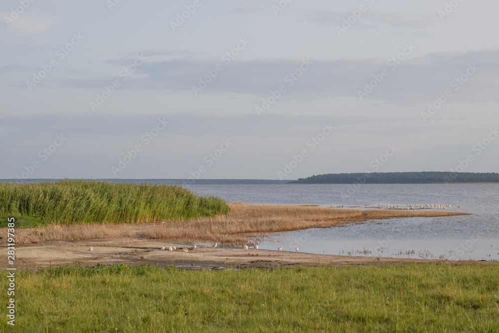 View of healing salty lake Medvezhye