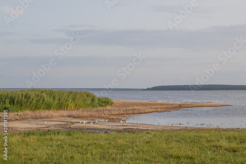 View of healing salty lake Medvezhye