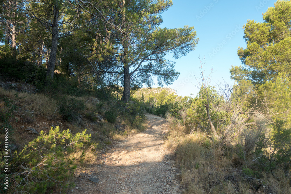 The desert of the palms in benicasim, Costa azahar