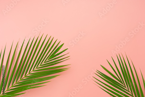 Table top view aerial image of summer season holiday background concept.Flat lay coconut or palm green leaf on modern rustic pink paper backdrop.Free space for creative design mock up text for content