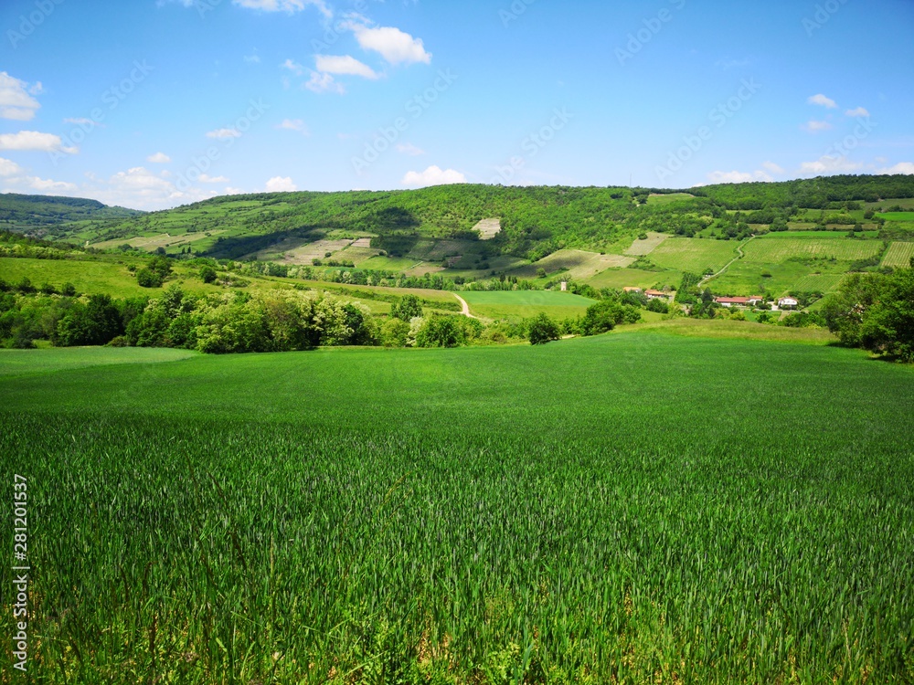 Fototapeta premium Paysage Auvergne