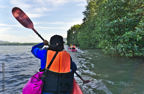 Female traveller wearing orange vest life jacket and carrying purple waterproof bag is kayaking on brackishwater nearby the mangrove forest with friends