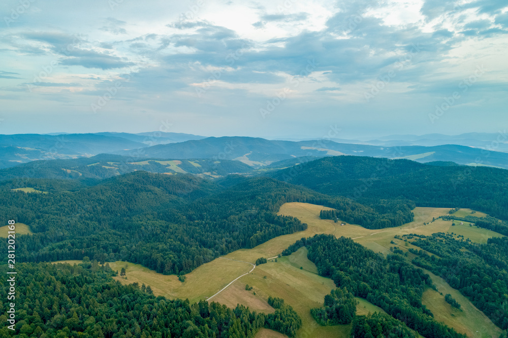 Obraz premium Mountain landscape with forests and meadows_1