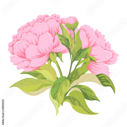Bouquet of two pink flowers peony Bud leaves in watercolor style.