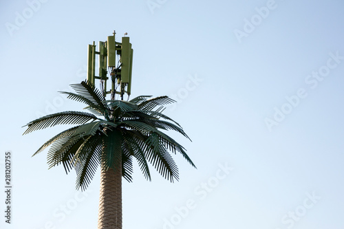 cellular antenna hidden in a palm tree
