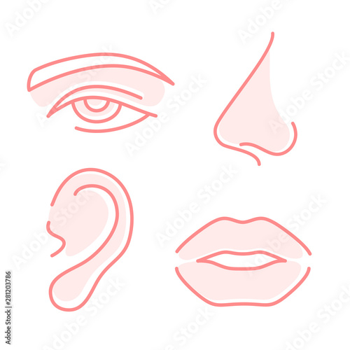 Human face parts. Vector icons.