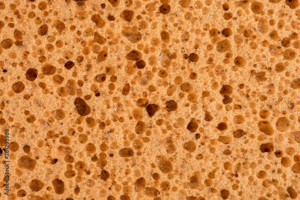sponge detail texture, sponge texture closeup background, yellow sponge texture sponge detail texture, sponge texture closeup background, yellow sponge texture