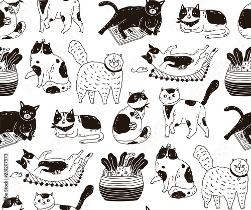 Monochrome seamless pattern with cats sleeping, washing, playing, stretching itself. Backdrop with cute purebred pet animals hand drawn with contour lines on white background. Vector illustration.