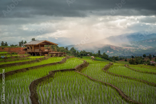 rice terrace during sunset in Chiang Mai  Thailand