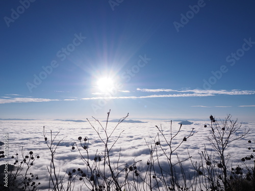 winter landscape with trees and clouds