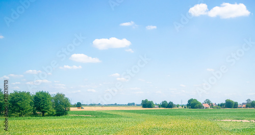 Dutch country view looking to a meadow © Daniel Doorakkers