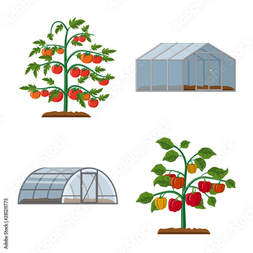 Vector design of greenhouse and plant logo. Set of greenhouse and garden stock symbol for web.