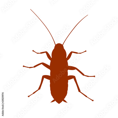 Cockroach graphic sign. Cockroach silhouette close up isolated on white background. Vector illustration