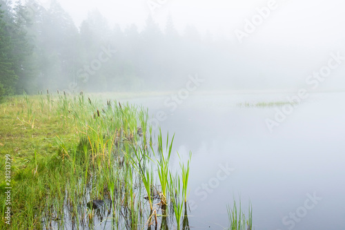 Beach at a forest lake with fog