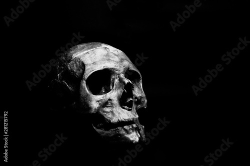skull on black (ID: 281215792)