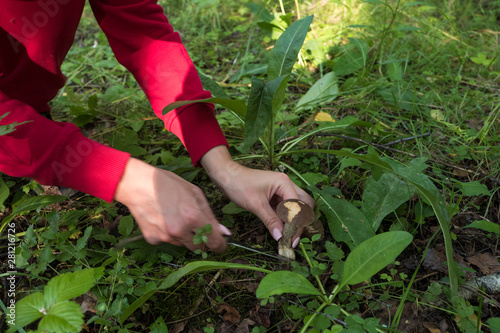 A girl cut a found mushroom. The knife and birch mushroom she hold in hands.