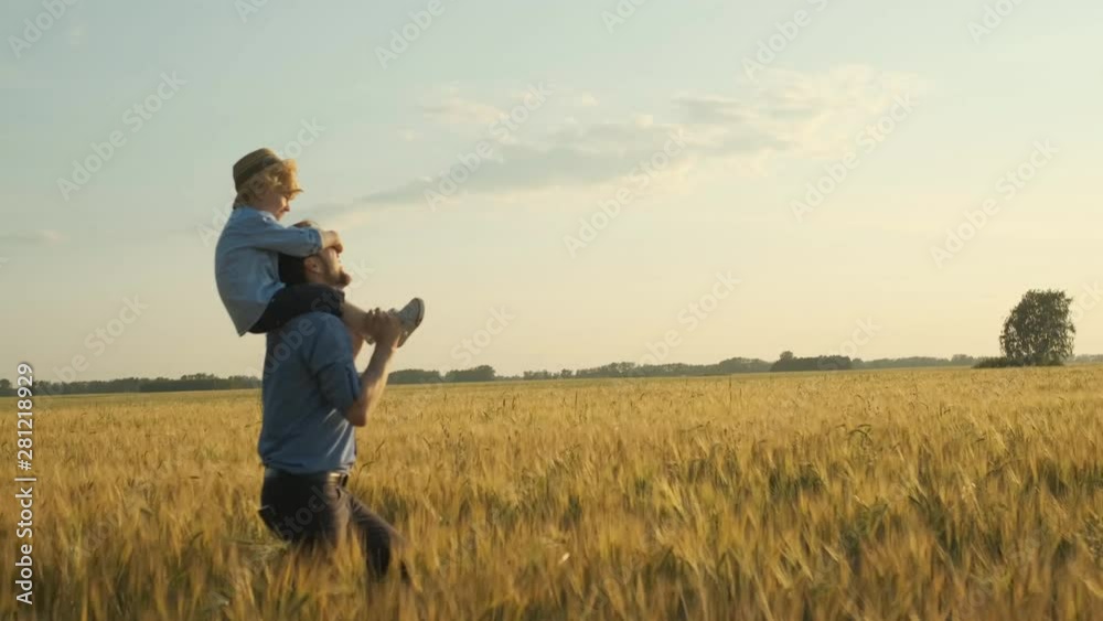 Happy father holding his little son on shoulders and walking at meadow on sunny summer day. Silhouettes of dad and his child playing at lawn. Family spending time at nature. Close up Slow motion. 4k Happy father holding his little son on shoulders and walking at meadow on sunny summer day. Silhouettes of dad and his child playing at lawn. Family spending time at nature. Close up Slow motion. 4k