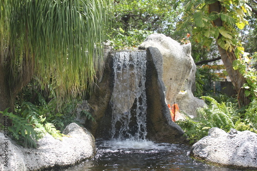 Pflanzen, Wasser, Wasserfall