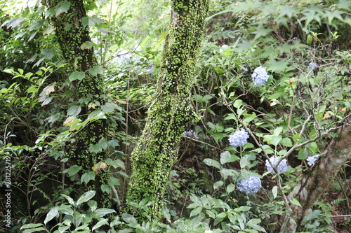 愛知 風景