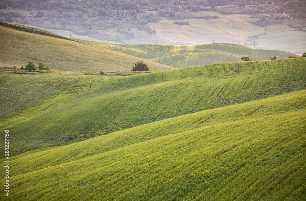 Tuscan landscape near Pienza, Tuscany, Italy
