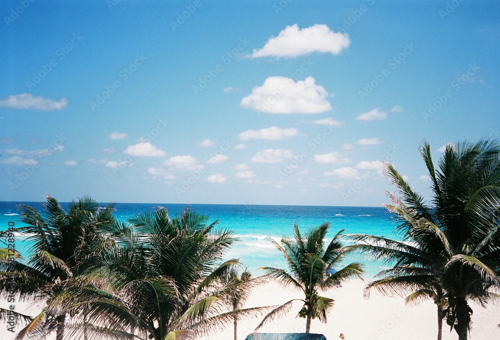Fototapeta premium CANCUN BEACH