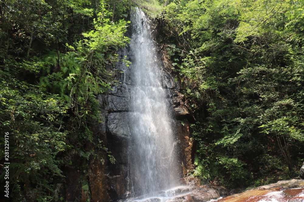 愛知 滝 愛知 滝