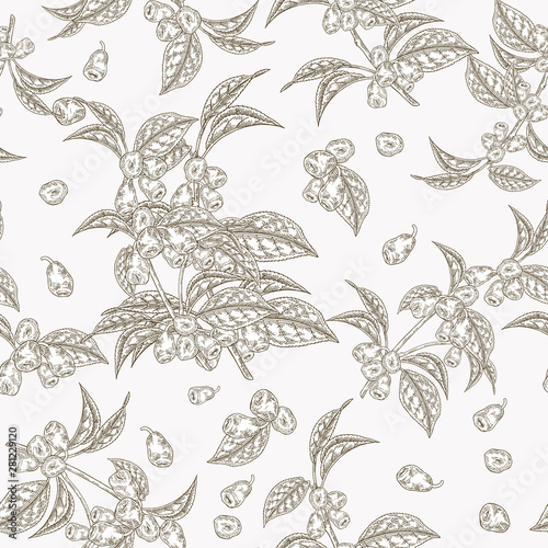 Honeysuckle leaves and berries seamless pattern. Lonicera japonica. Vector illustration. Design for textile and packaging.