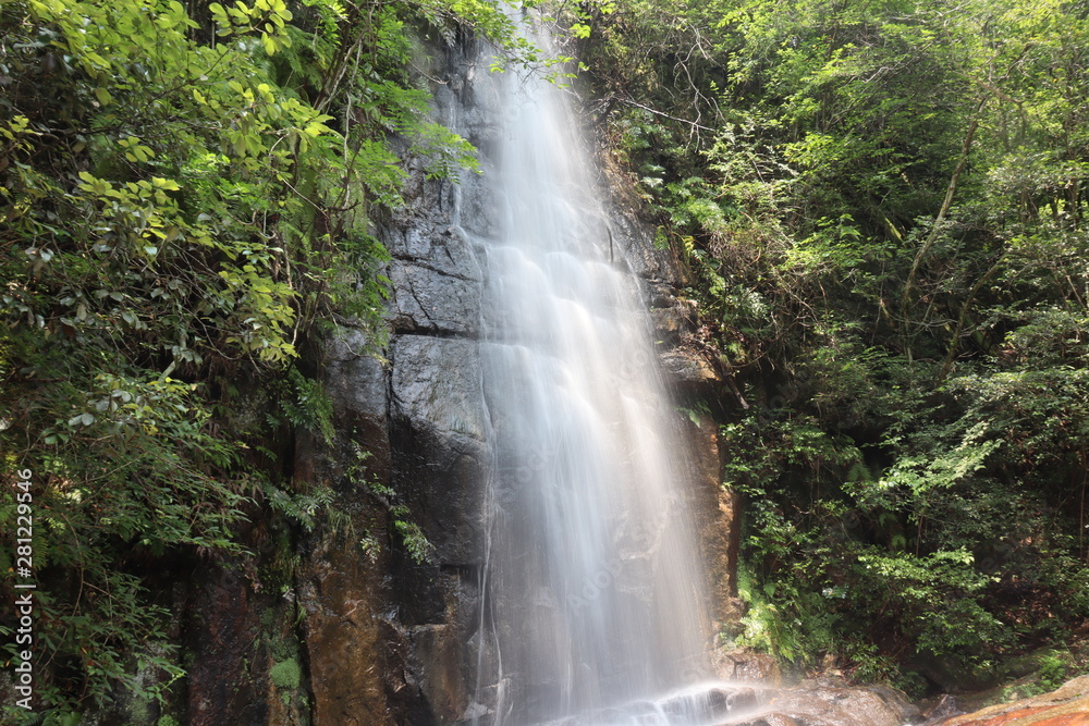 Fototapeta premium 愛知 滝