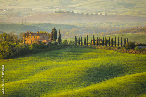 Fantastic sunny spring field in Italy, tuscany landscape morning foggy famous Cypress trees