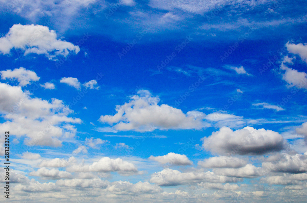 Fototapeta premium sky wind blowing trees on the rice field 