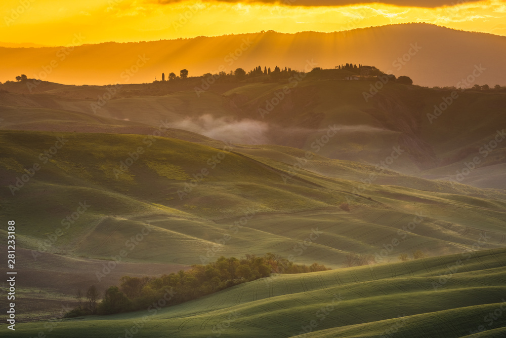 Fototapeta premium Fantastic sunny spring field in Italy, tuscany landscape morning foggy famous Cypress trees