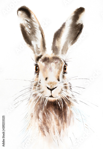 Fototapeta Easter bunnies watercolor illustration, rabbit portrait isolated