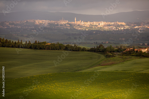 Fantastic sunny spring field in Italy, tuscany landscape morning foggy famous Cypress trees