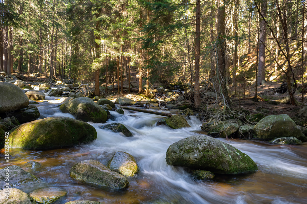 Rocky mountain stream and gum trees in background. Rocky mountain stream and gum trees in background.