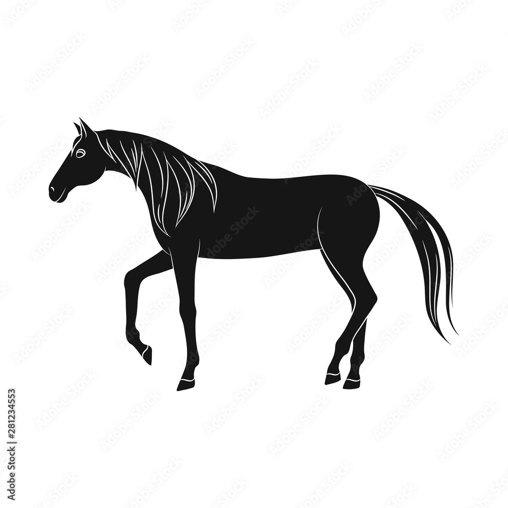Vector design of horse and steed icon. Collection of horse and western stock symbol for web.