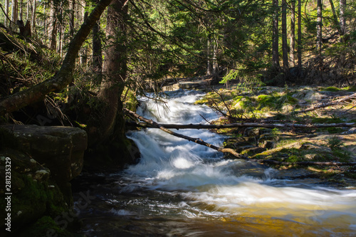 Rocky mountain stream and gum trees in background.