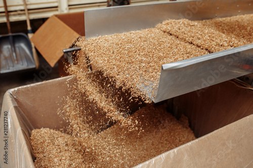 Photo of process in tobbacco factory for cigarette industry.