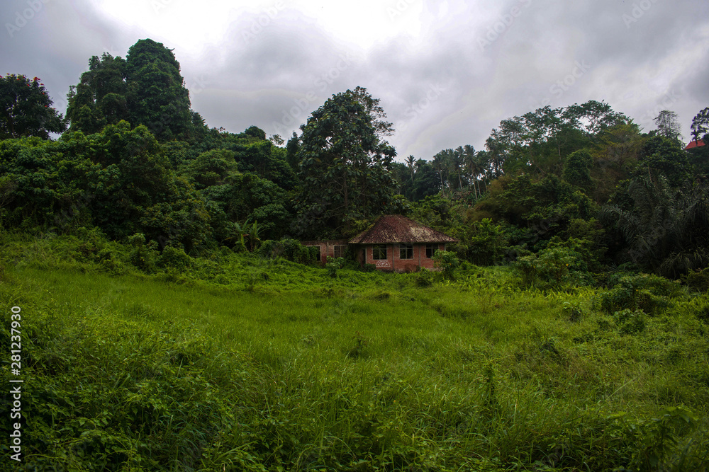 Hidden cottage in Ubud