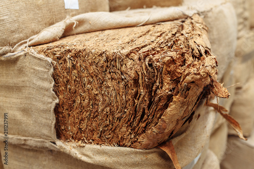 Photo of dried tobacco leaves in cloth sack for cigarette industry.