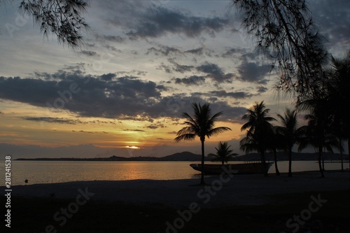 Sunset, clouds, palmtree and sun. Nature and sky above trees and landscape © Madison