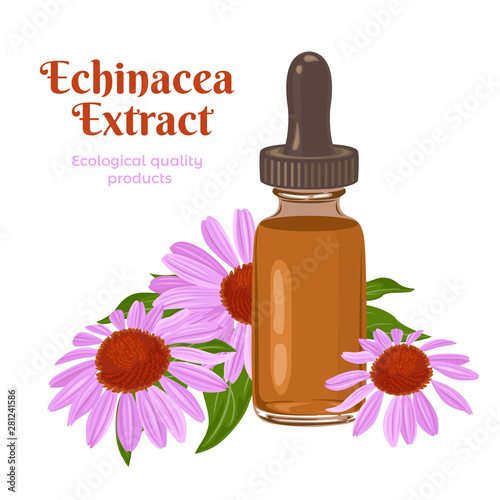 Echinacea extract in a glass bottle and purple flowers isolated on white background. Vector illustration of herbal supplement in cartoon flat style.