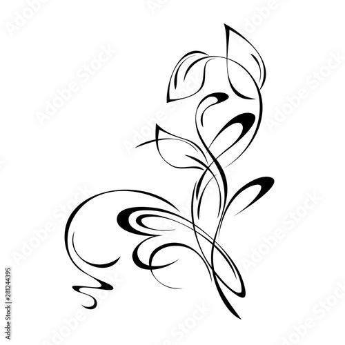 decorative element with stylized leaves and curls in black lines on a white background