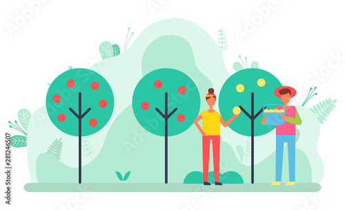Harvesting people at garden vector, apple and pear trees. Farmers gathering fruits, gardeners with basket and sweet products organic food agriculture